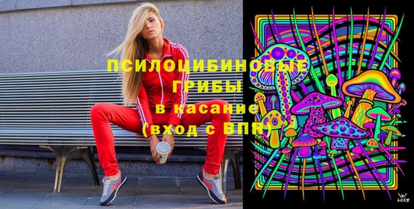 экстази Арсеньев