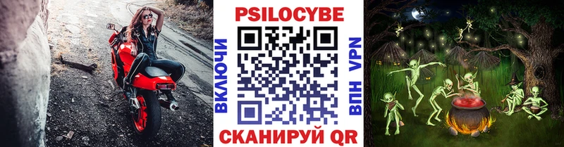 гидра ссылка  купить наркоту  Боготол  Псилоцибиновые грибы ЛСД 